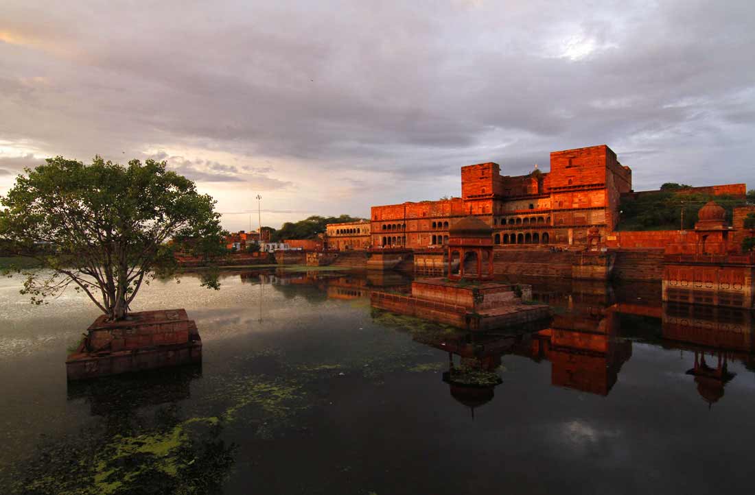 chambal safari dholpur