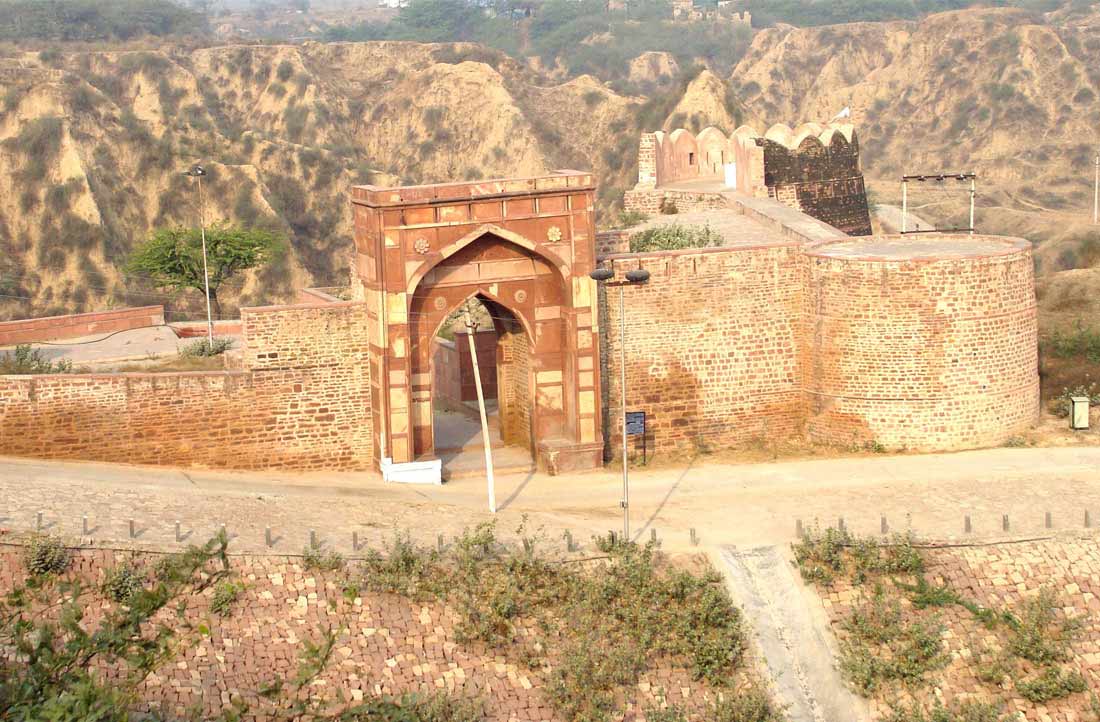 chambal safari dholpur