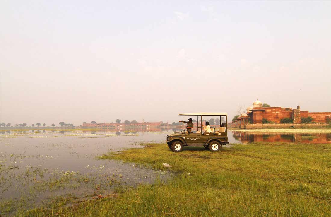 chambal safari dholpur