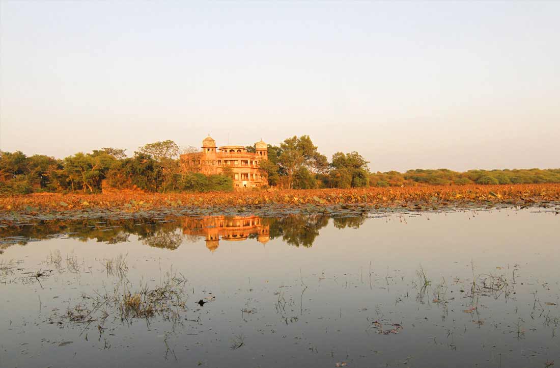 chambal safari dholpur