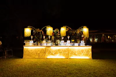 Royal Wedding at Raj Niwas Palace